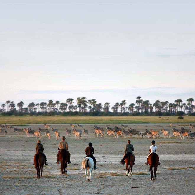 Horseback riding safari