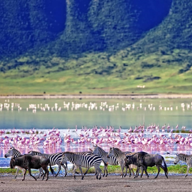 Ngorongoro Crater in Tanzania