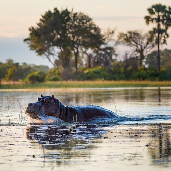 Okavango Delta in Botswana