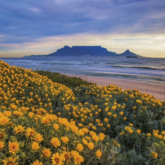 Table Mountain in Cape Town