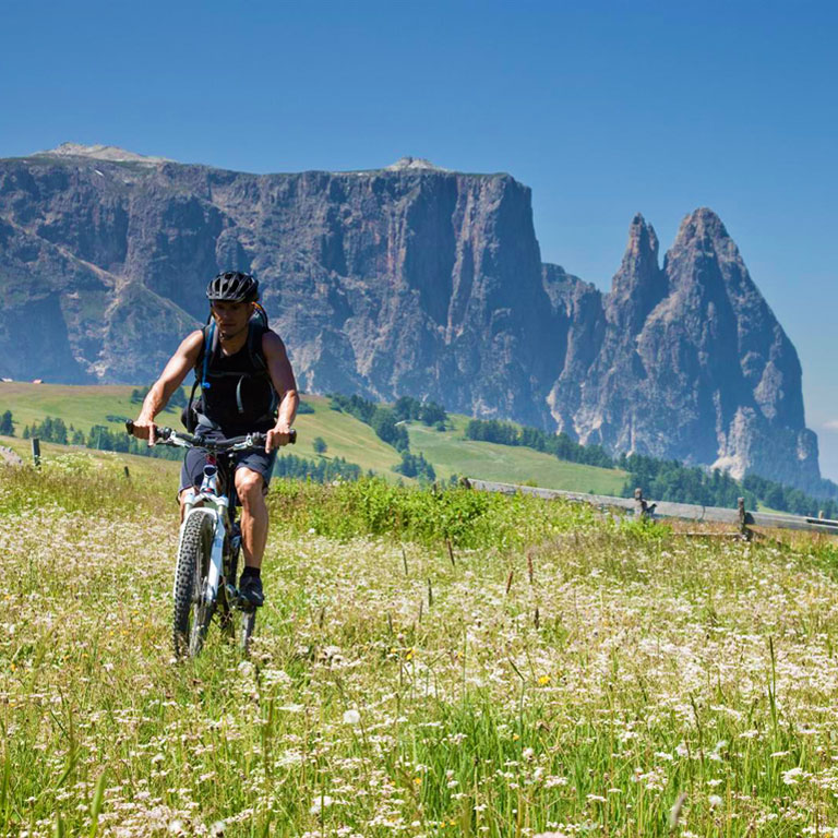 Biking, alpine summer