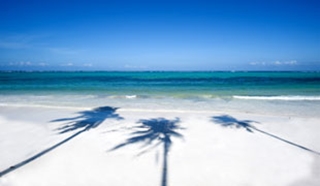 The ultimate travel calendar