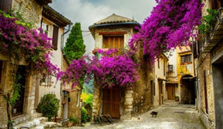 The insider's guide: South of France