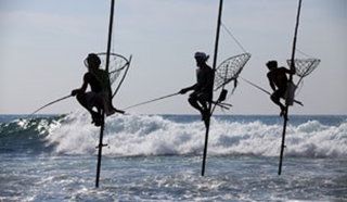 Family Time in Sri Lanka: Wildlife Adventure & Coastal Bliss