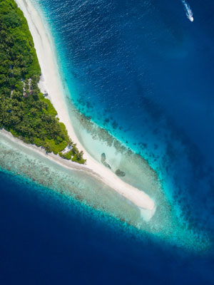 Our Indian Ocean Guide