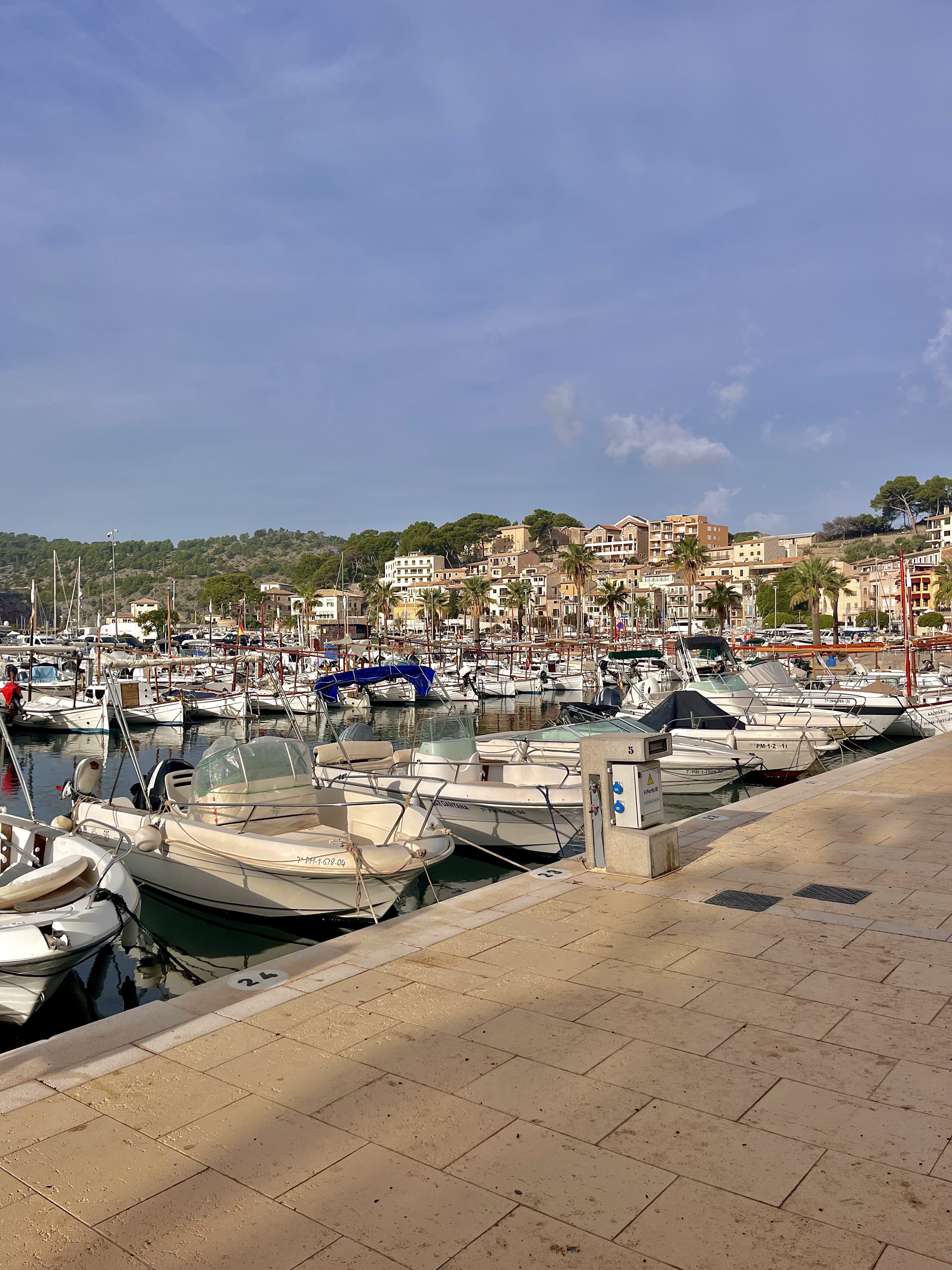 Boats stationed at a dock