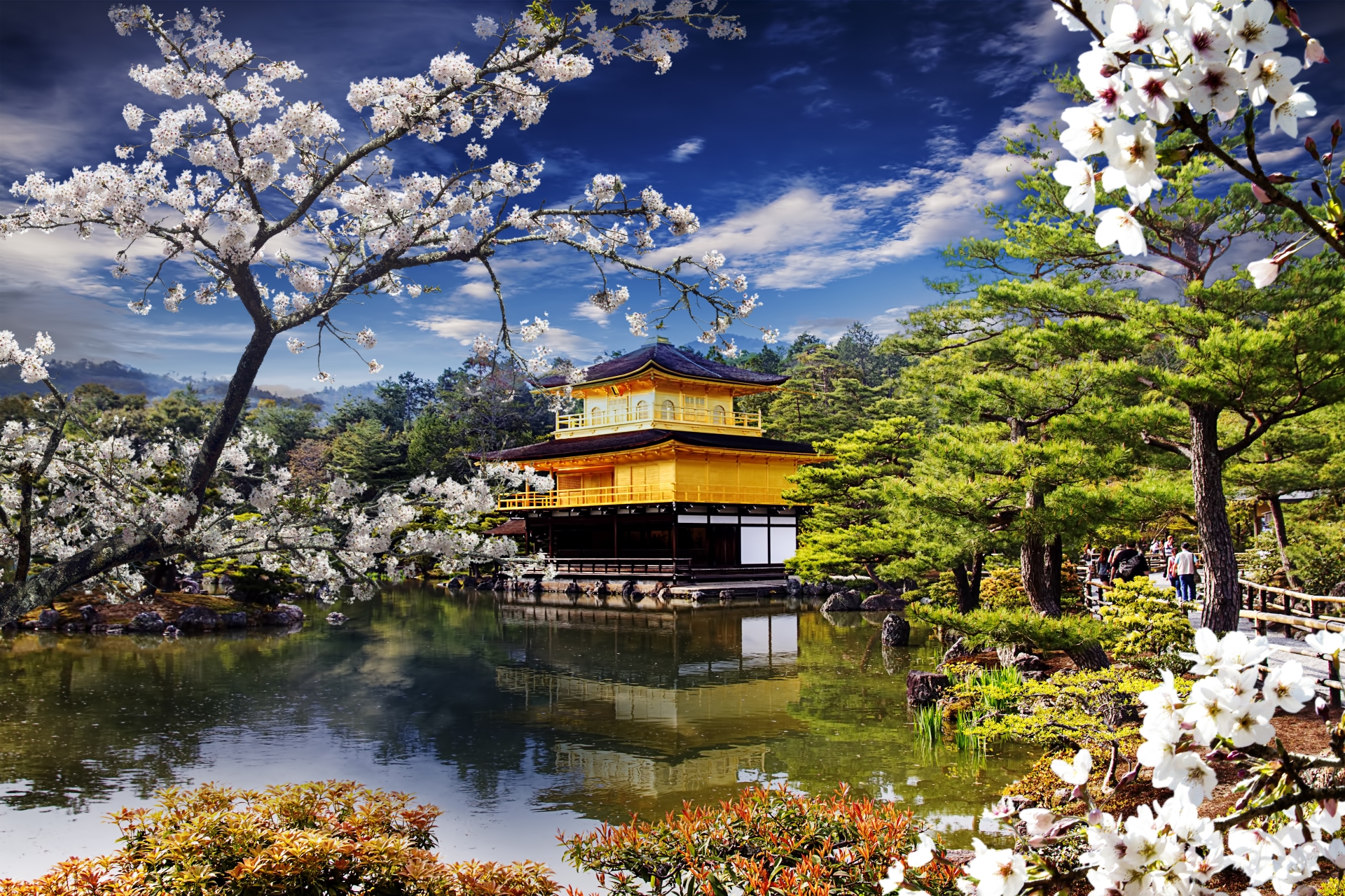 Trees and a structure on water in Japan