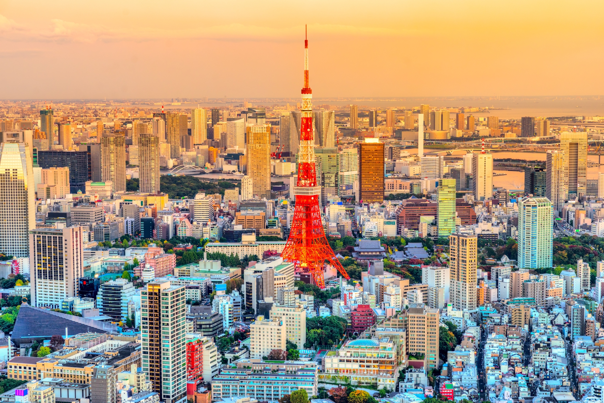 Tokyo Skyline in Japan