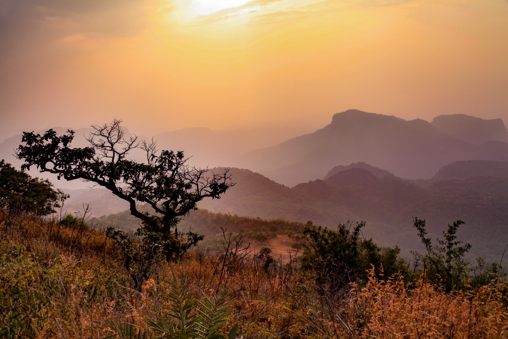 Satpura National Park