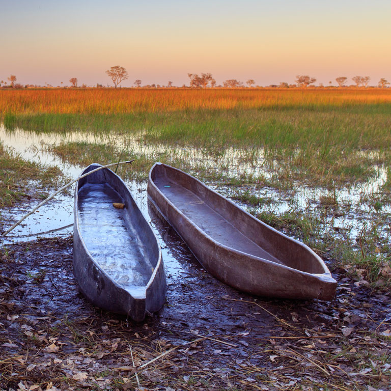 Canoeing on the Okavango Delta, Botswana