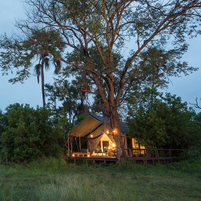 Gomoti Plains