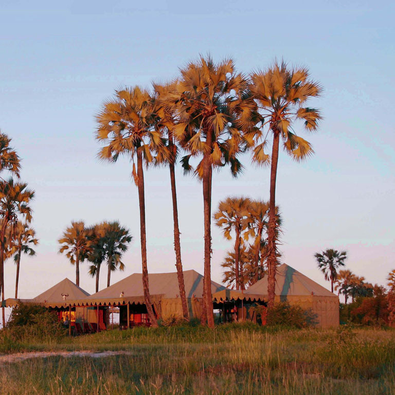 Jacks Camp