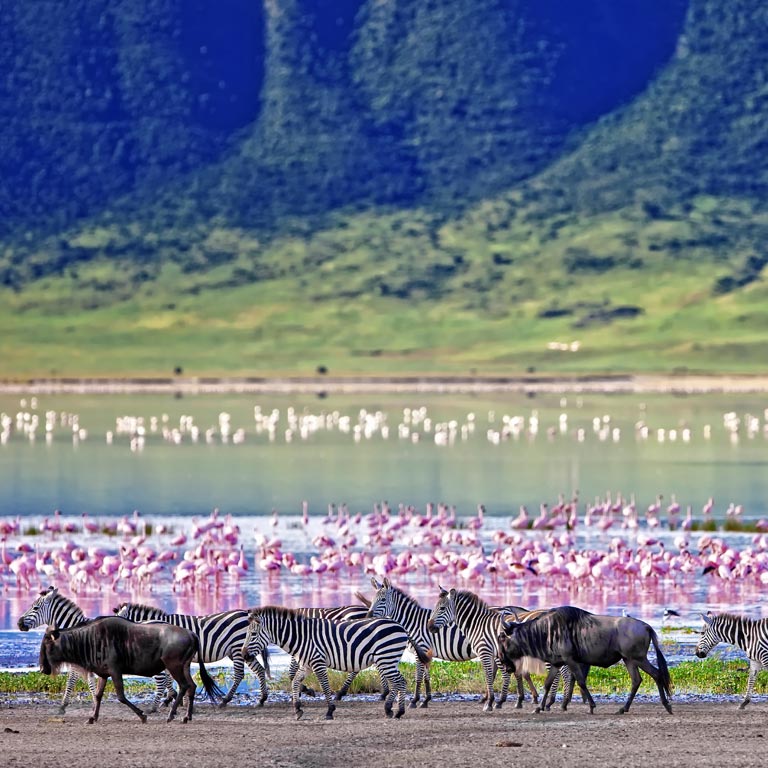 Ngorongoro Crater in Tanzania