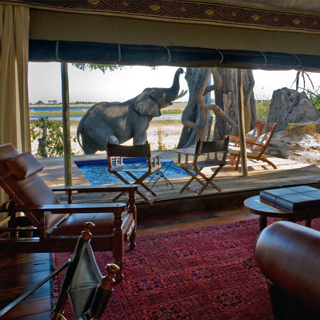 View from Zarafa, Linyanti, Botswana