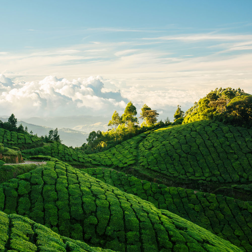 Sri Lanka