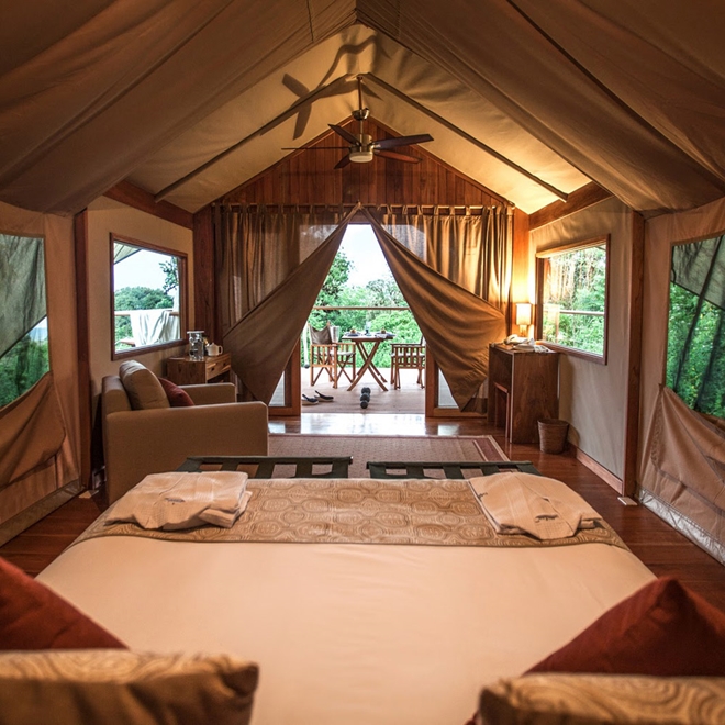 Tent Interior Galapagos Safari Camp Ecuador