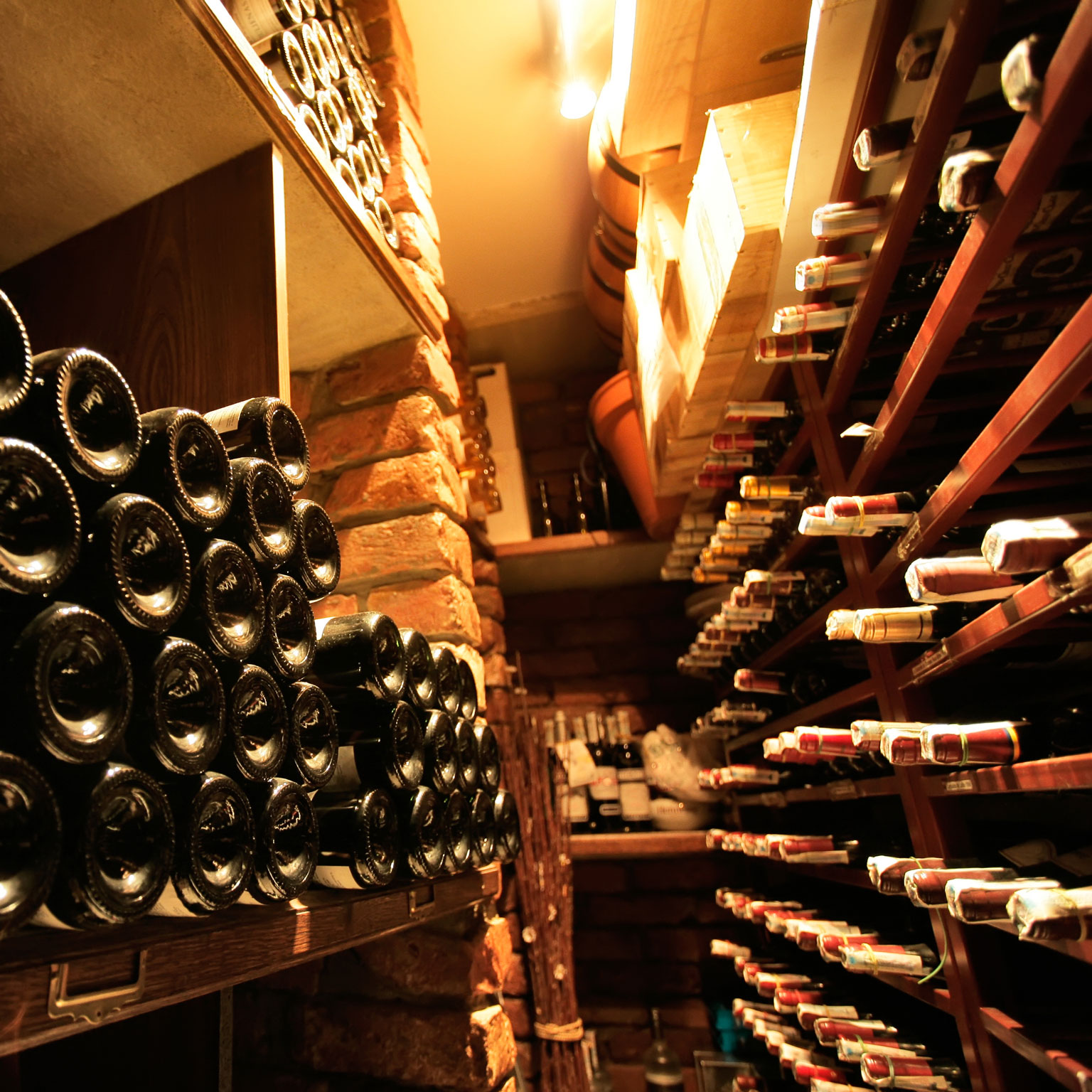 Mendoza Wine