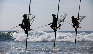Family Time in Sri Lanka: Wildlife Adventure & Coastal Bliss