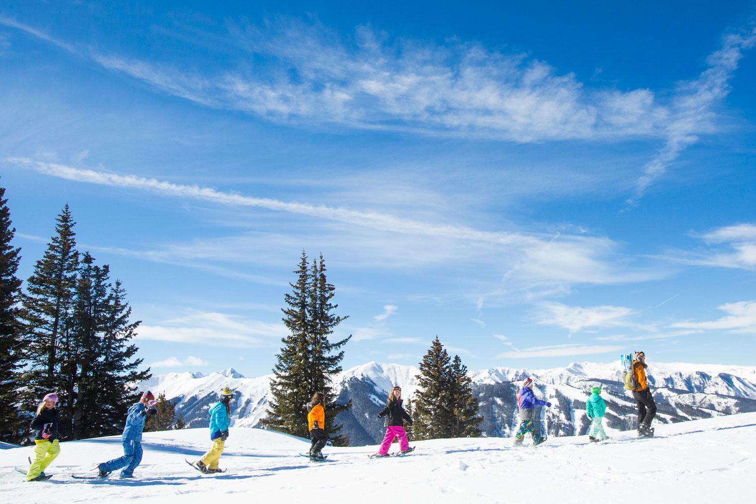 Snowshoe