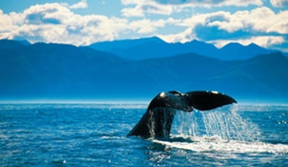 New Zealand family adventure