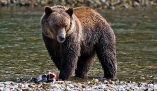 Best of British Columbia