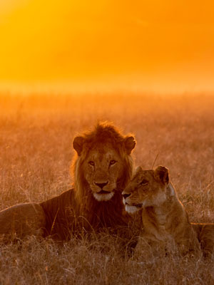 Our Take on the Big Five
