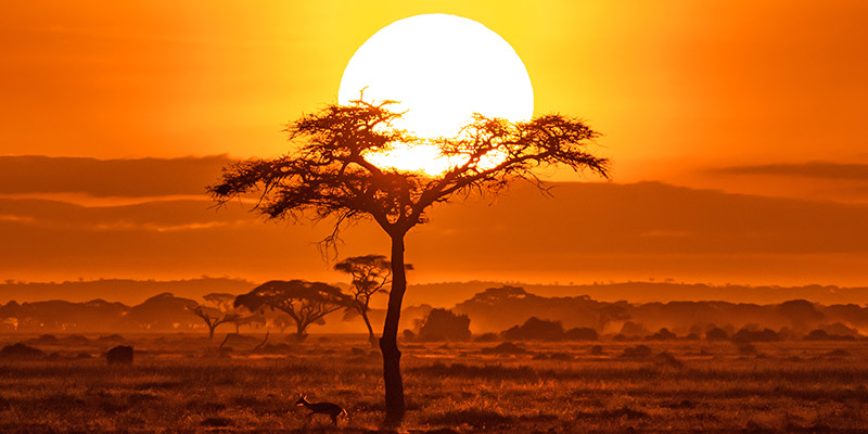 Sunset over the horizon