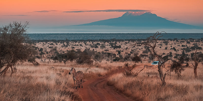 The Tsavo National Park landscape at dawn