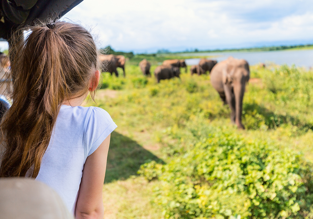 Yala National Park & Family-Friendly safaris
