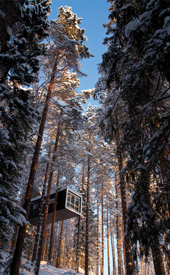 Treehouse 