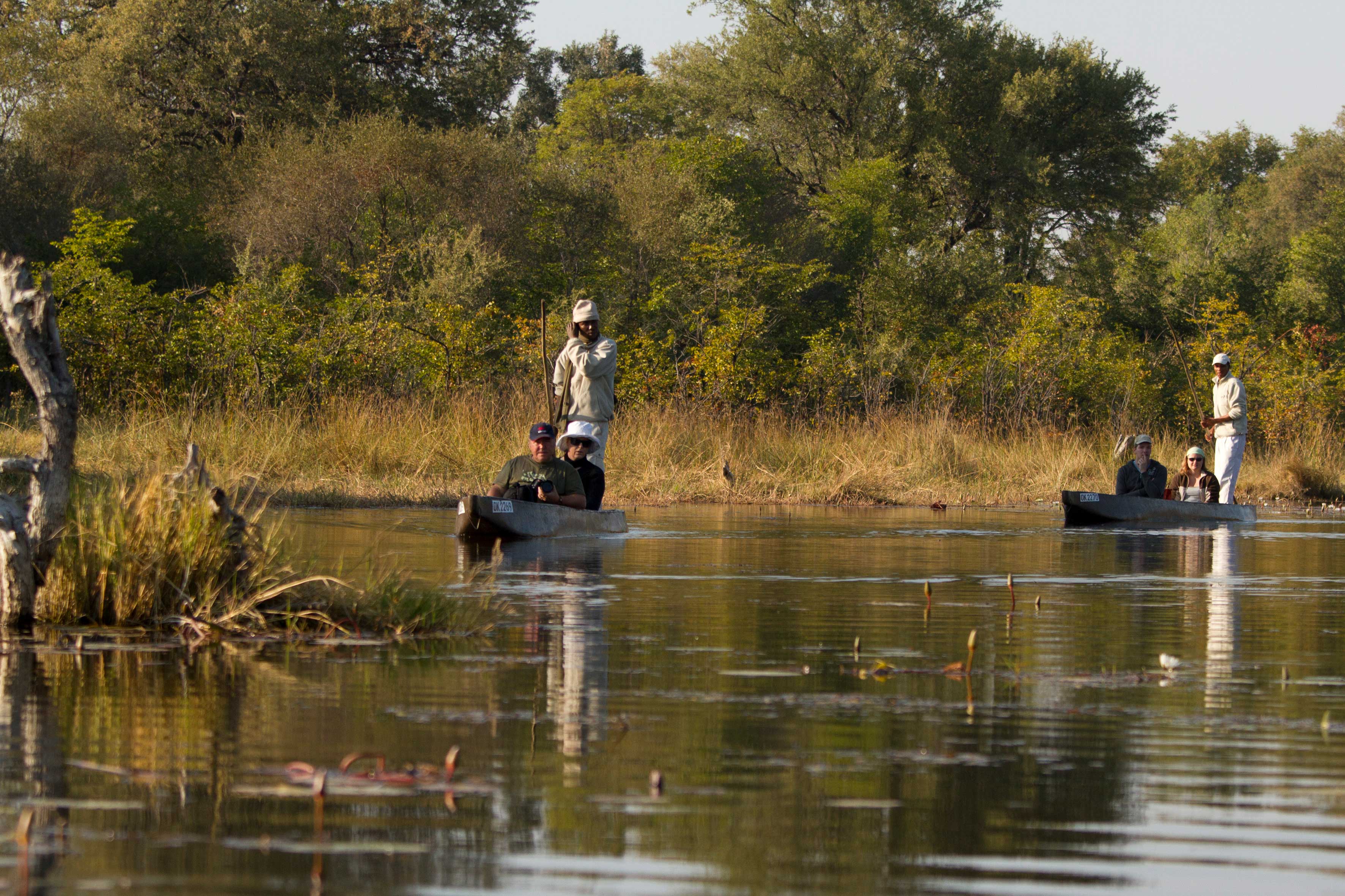 Guests on a moroko