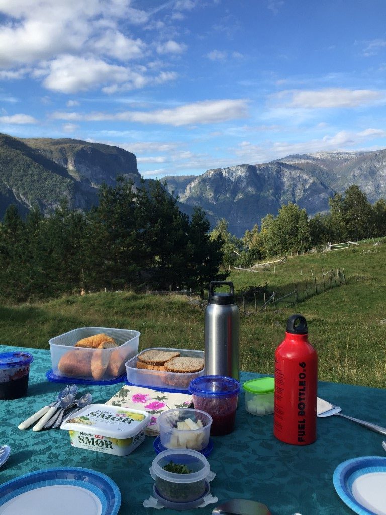 Picnic lunch