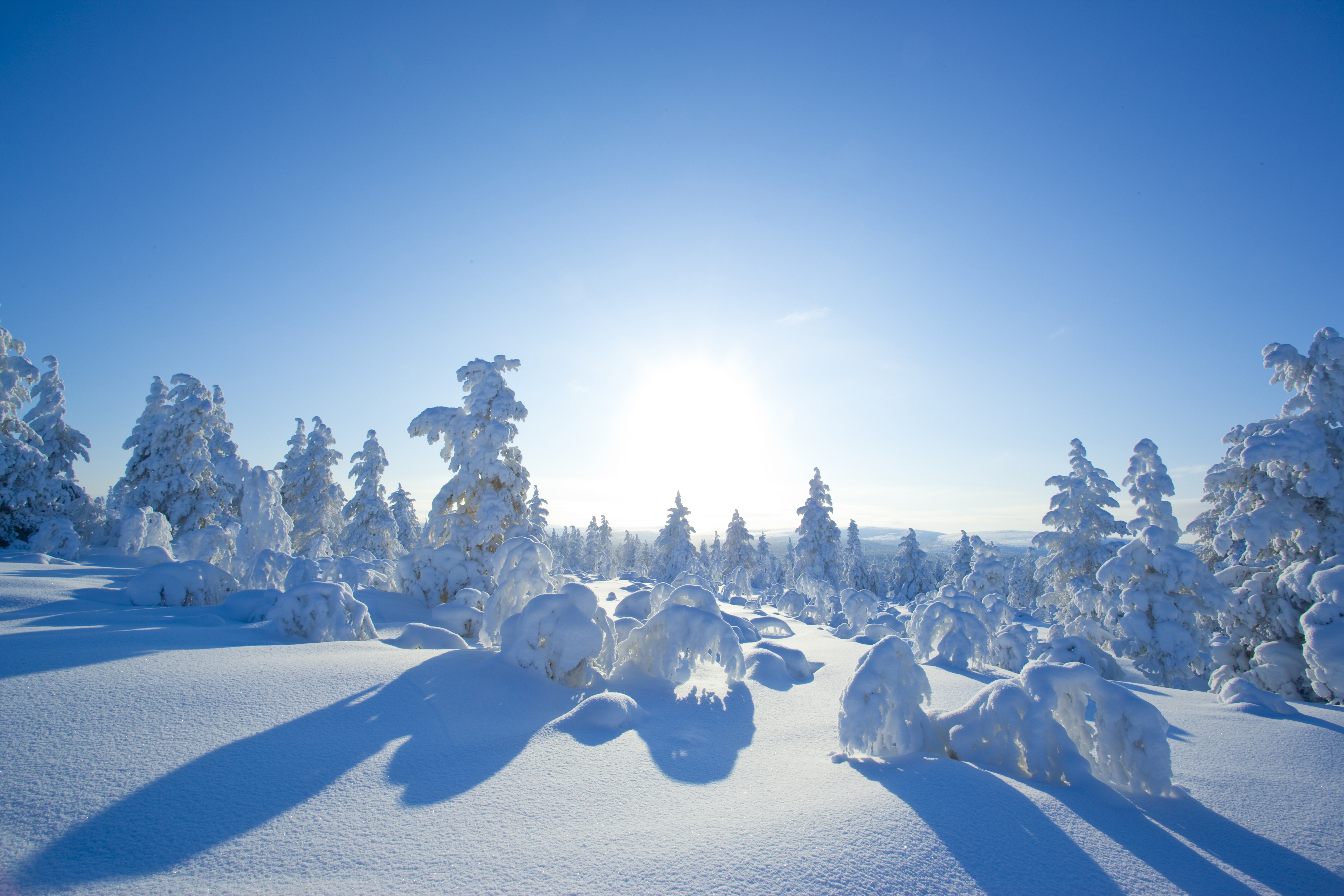 Snowy Saariselkä