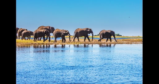 Okavango Delta, Botswana 