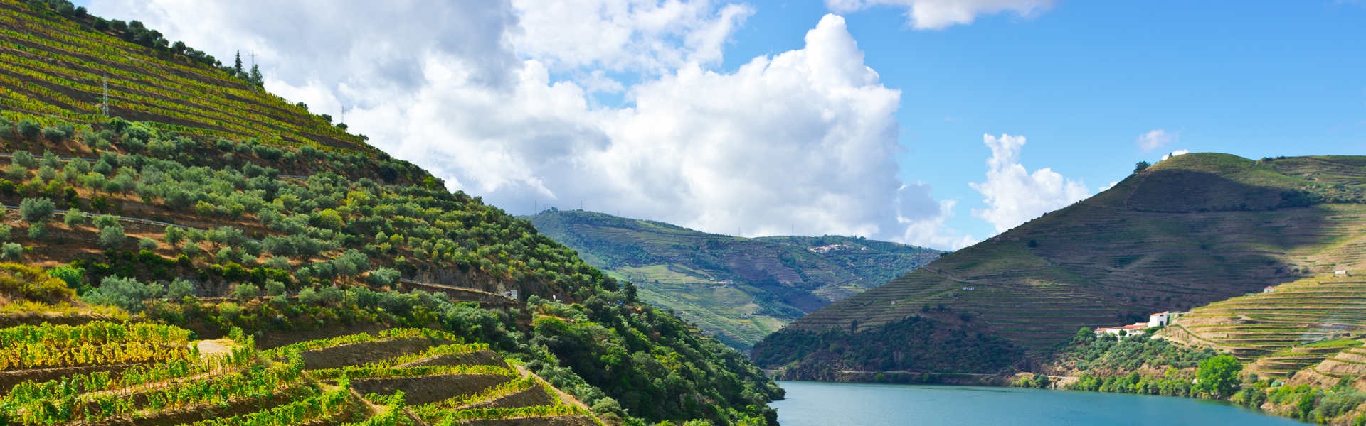 Discovering the Douro Valley
