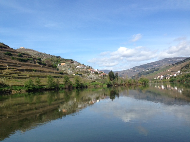 Boat trip along the Douro River