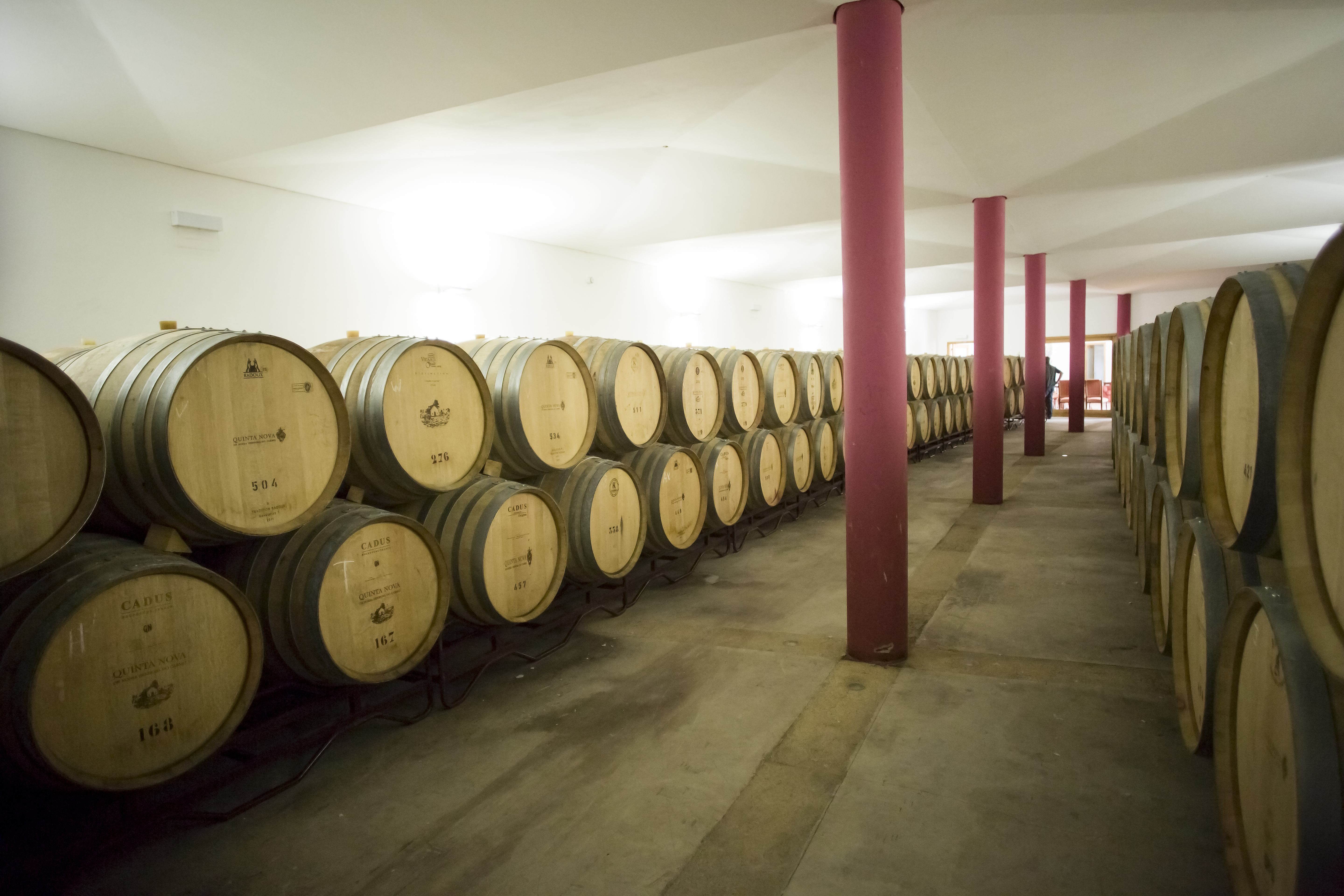 Learn the art of winemaking at Quinta Nova