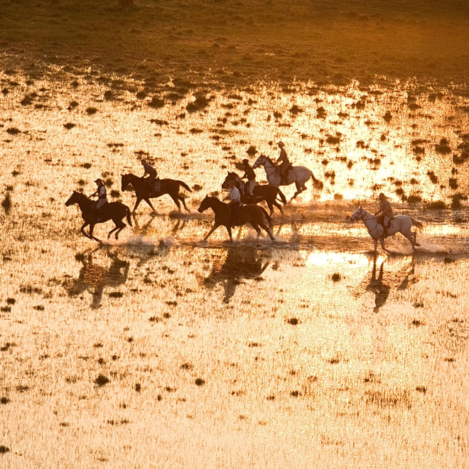 Okavango Horse Safaris