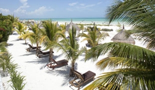 Isla Holbox: Electric Island