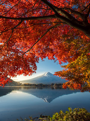 Our guide to Japan