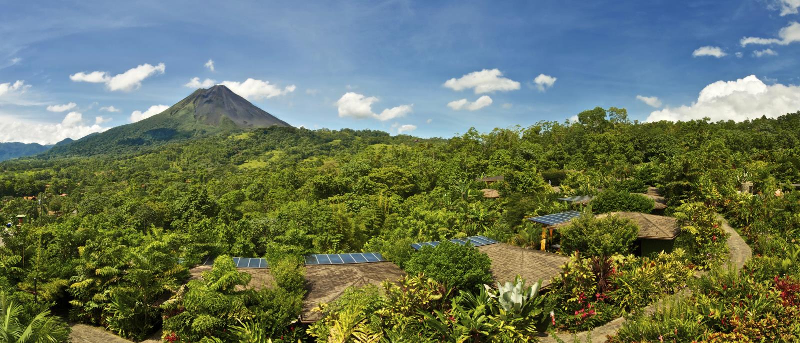 Volcano in the background with trees in the foreground in Arenal 