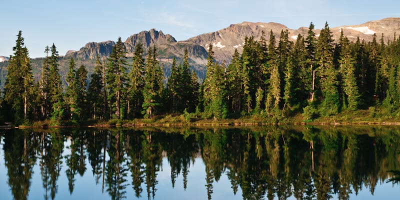 Vancouver Island shore