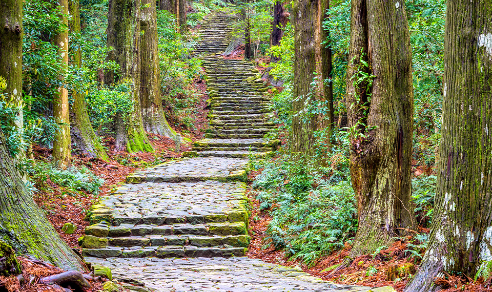 A stone staircase surrounded by trees