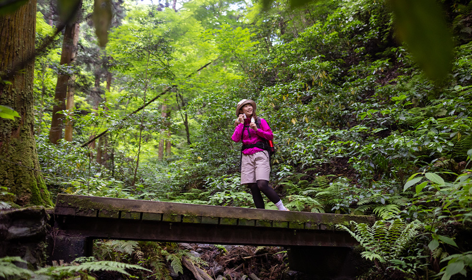 A woman on a small bridge in the forest