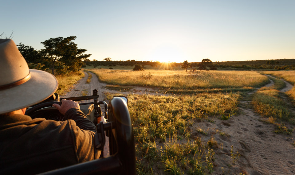 Sabi Sands Game Reserve, South Africa