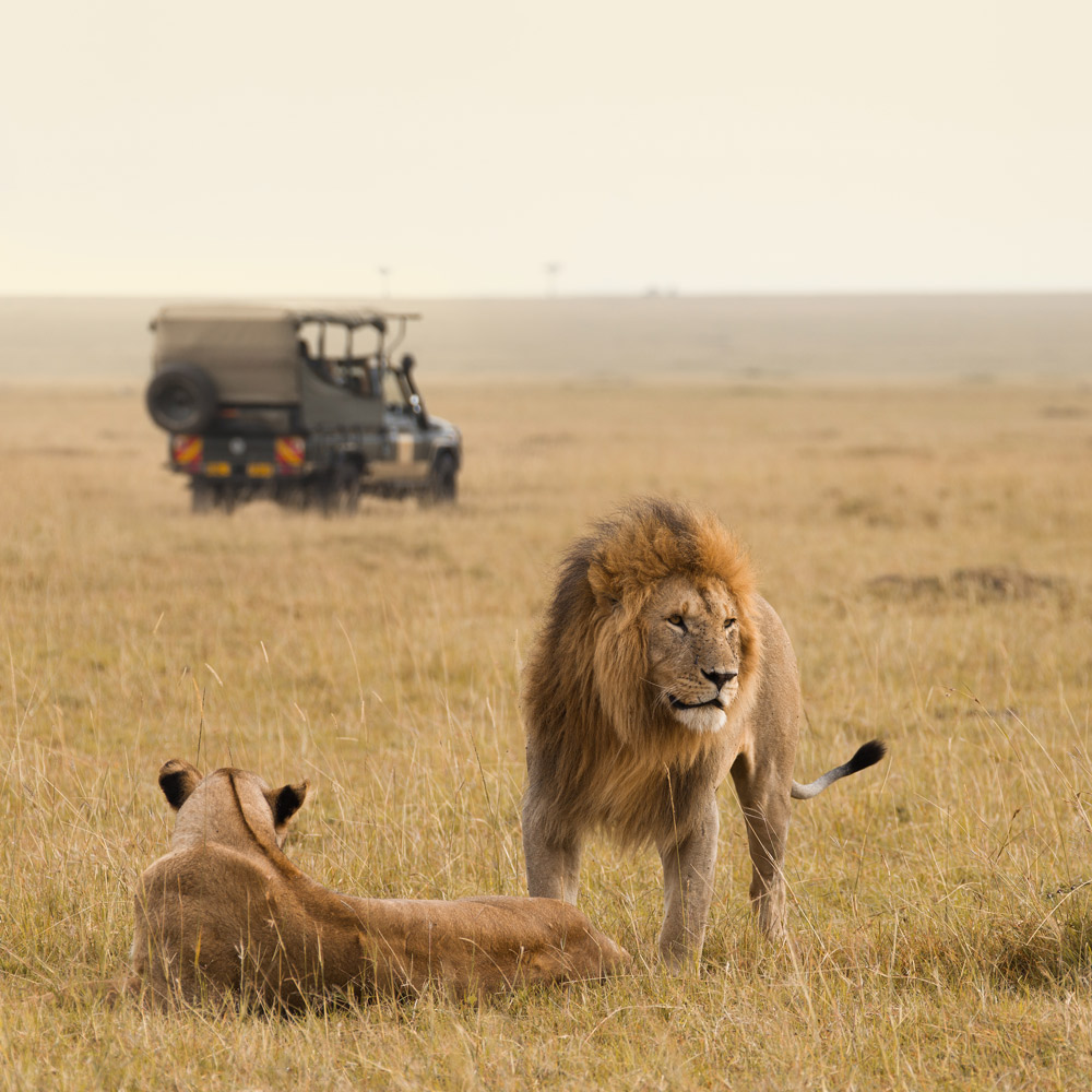 Masai Mara, Kenya
