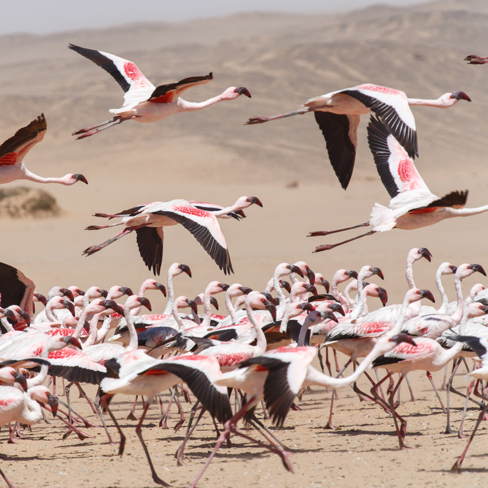 Swakopmund, Namibia