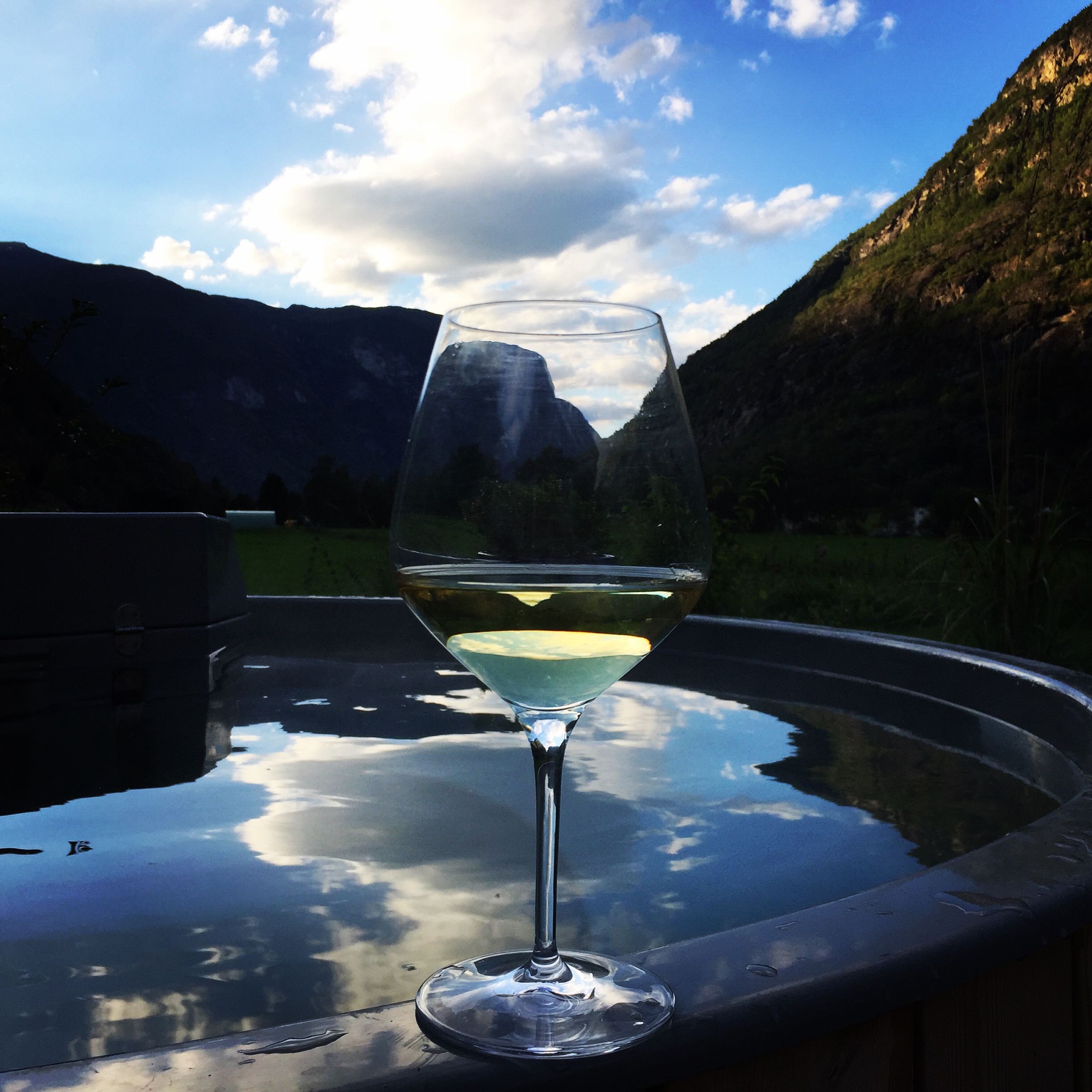 Glass of wine, hot tub and a view!