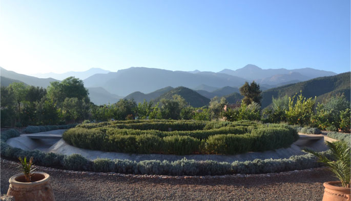 Hidden gardens