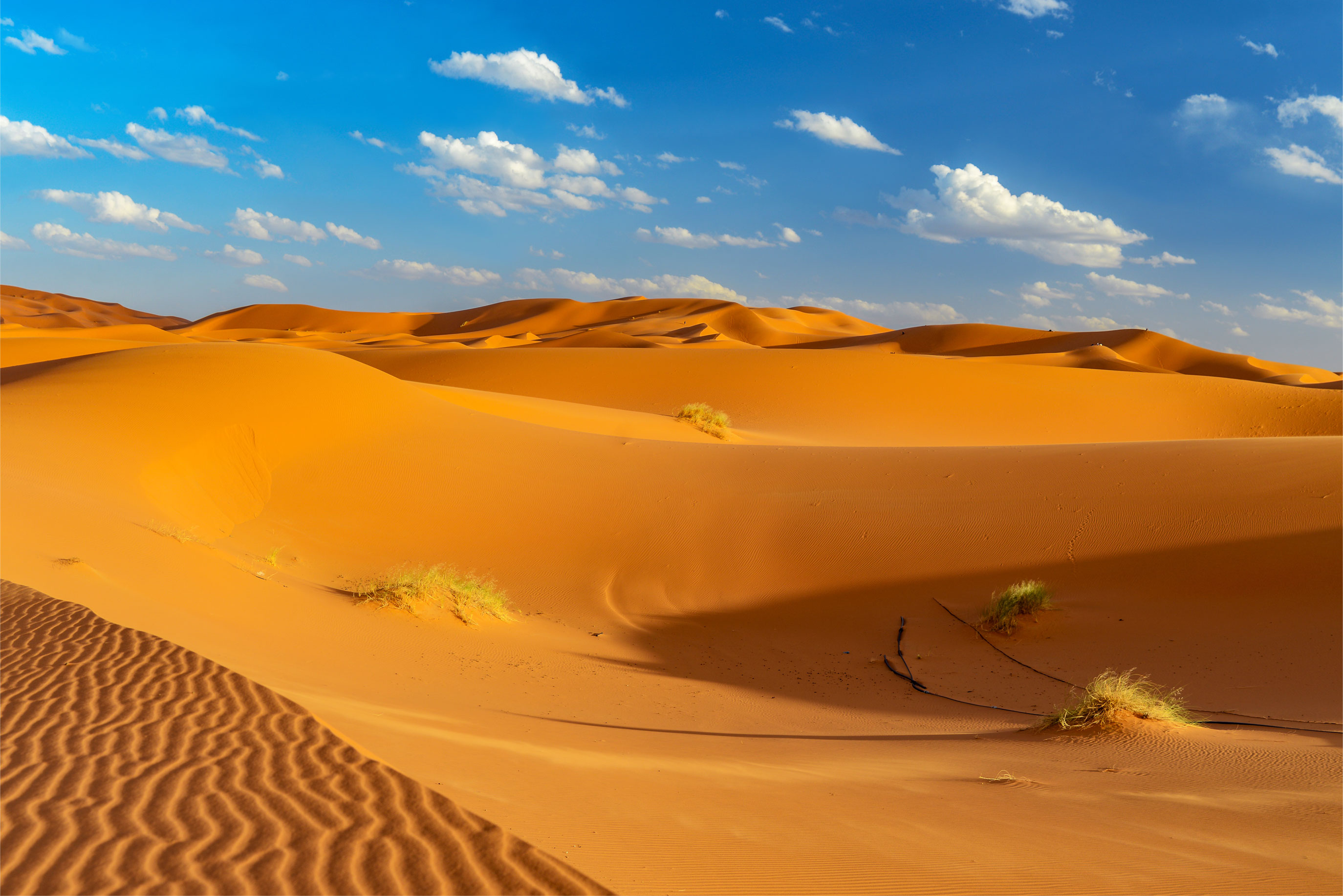 The Sahara Desert